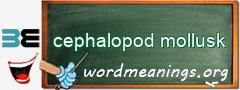 WordMeaning blackboard for cephalopod mollusk